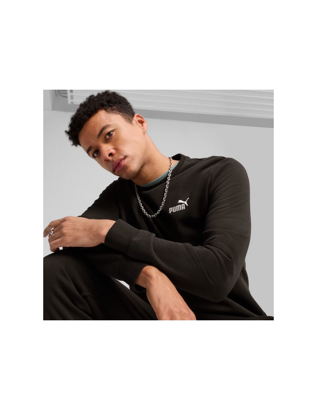 825773-thickbox_default-puma-ess-small-no1-logo-crew-tr-m-sweatshirt-682564-01