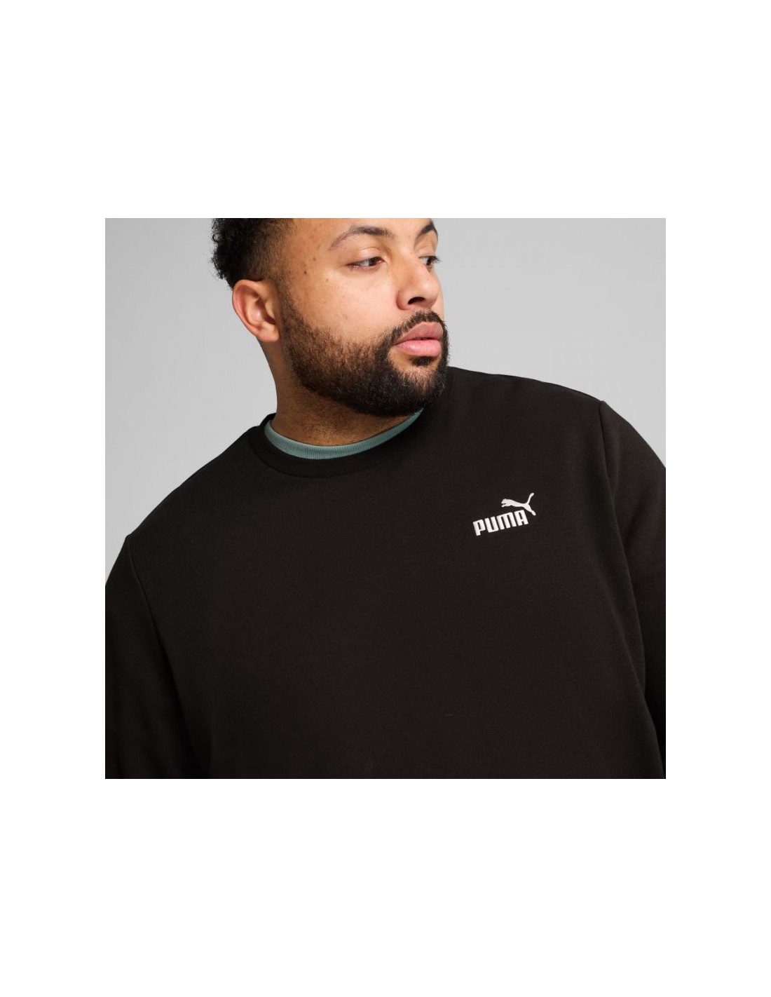 825774-thickbox_default-puma-ess-small-no1-logo-crew-tr-m-sweatshirt-682564-01
