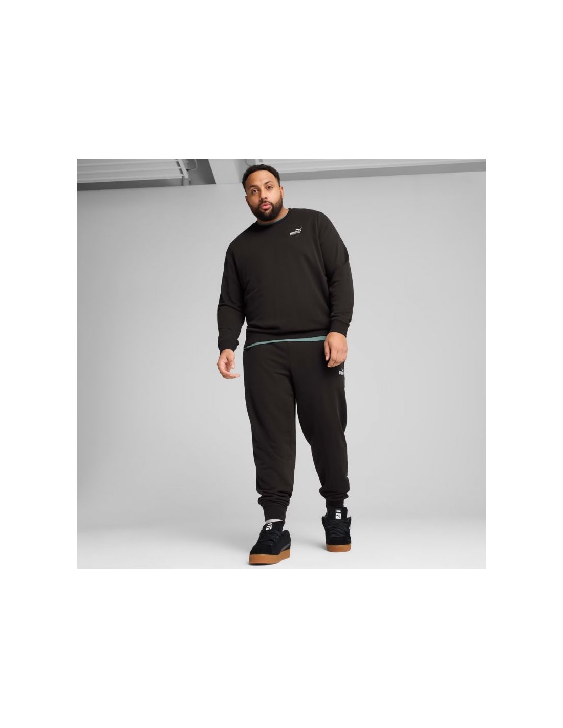 825775-thickbox_default-puma-ess-small-no1-logo-crew-tr-m-sweatshirt-682564-01