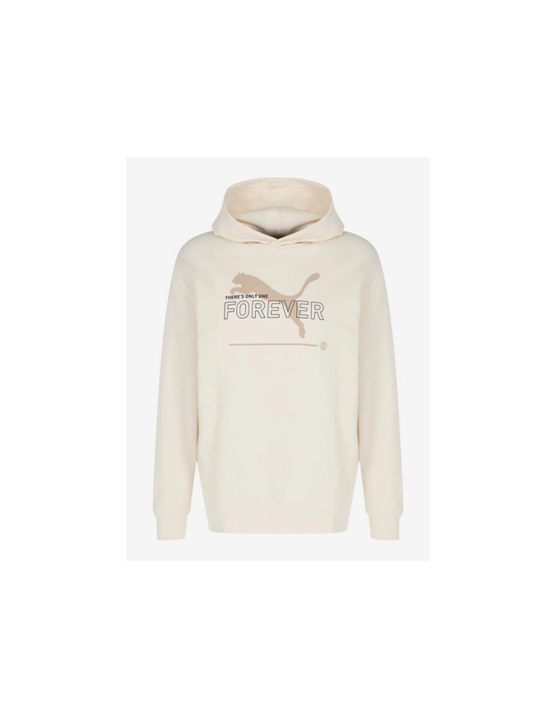 834402-thickbox_default-puma-fd-ess-btr-m-sweatshirt-673293-99