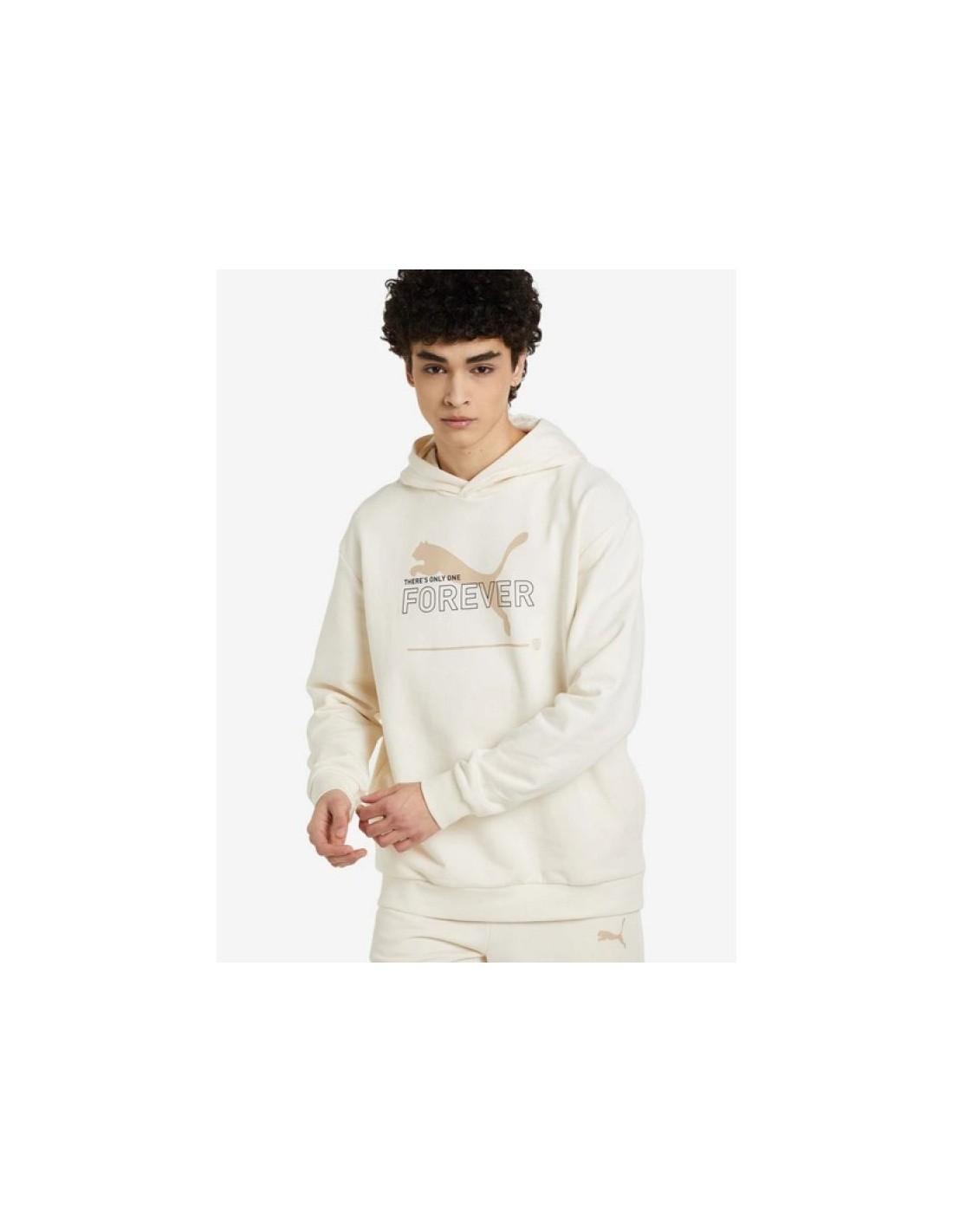 834408-thickbox_default-puma-fd-ess-btr-m-sweatshirt-673293-99
