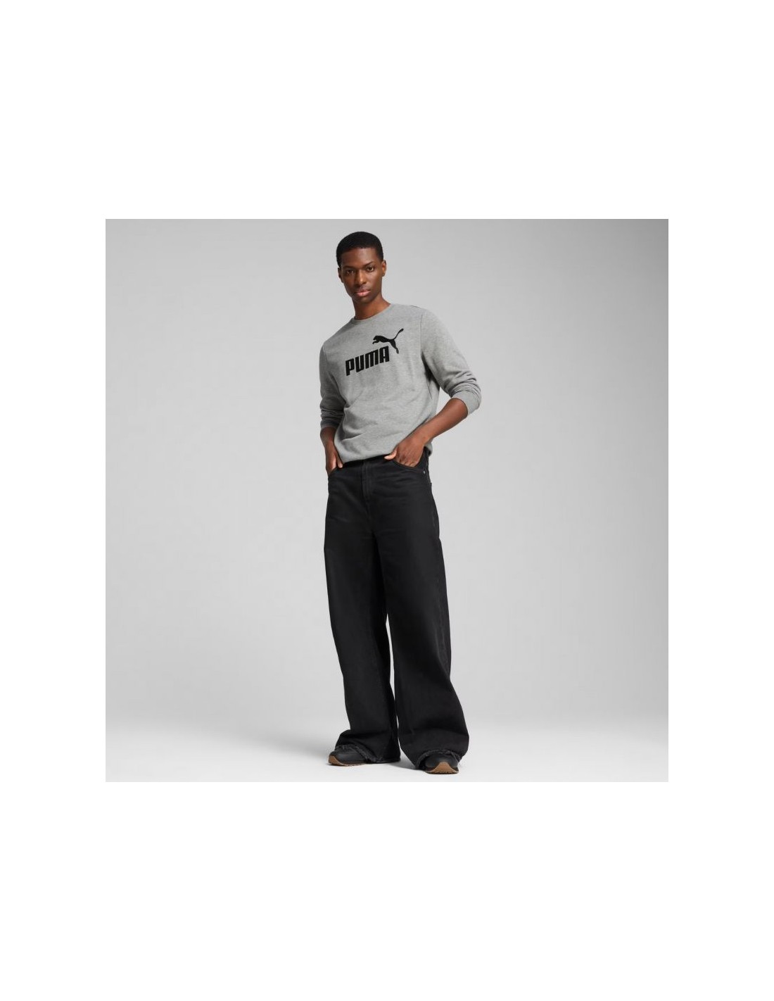 834419-thickbox_default-puma-ess-no1-logo-crew-tr-m-sweatshirt-682560-03