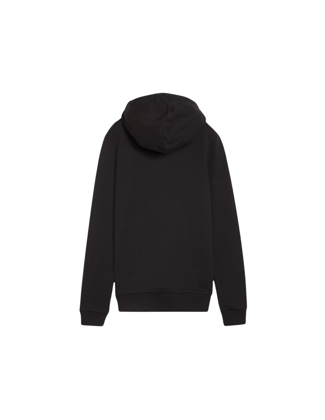 838699-thickbox_default-puma-team-goal-casuals-hoody-w-658621-03