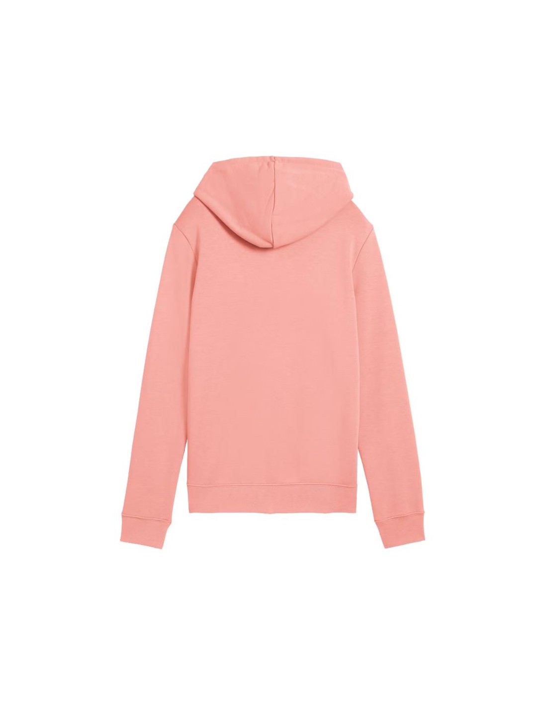 838732-thickbox_default-puma-ess-no1-logo-hoodie-w-682391-18