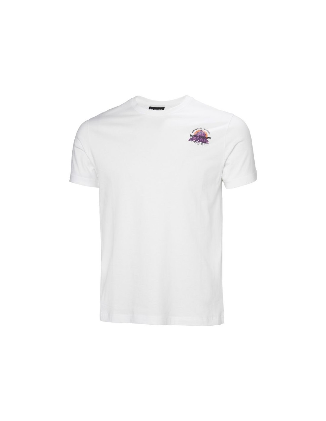 842704-thickbox_default-helly-hansen-core-graphic-t-20-m-t-shirt-54599-002