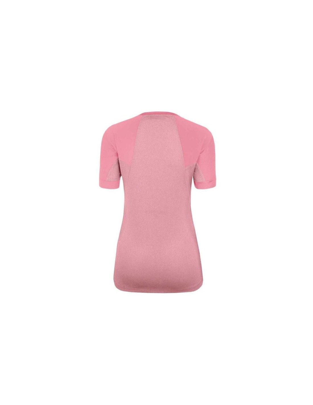 842802-thickbox_default-salewa-seceda-dry-w-28070-6570-t-shirt