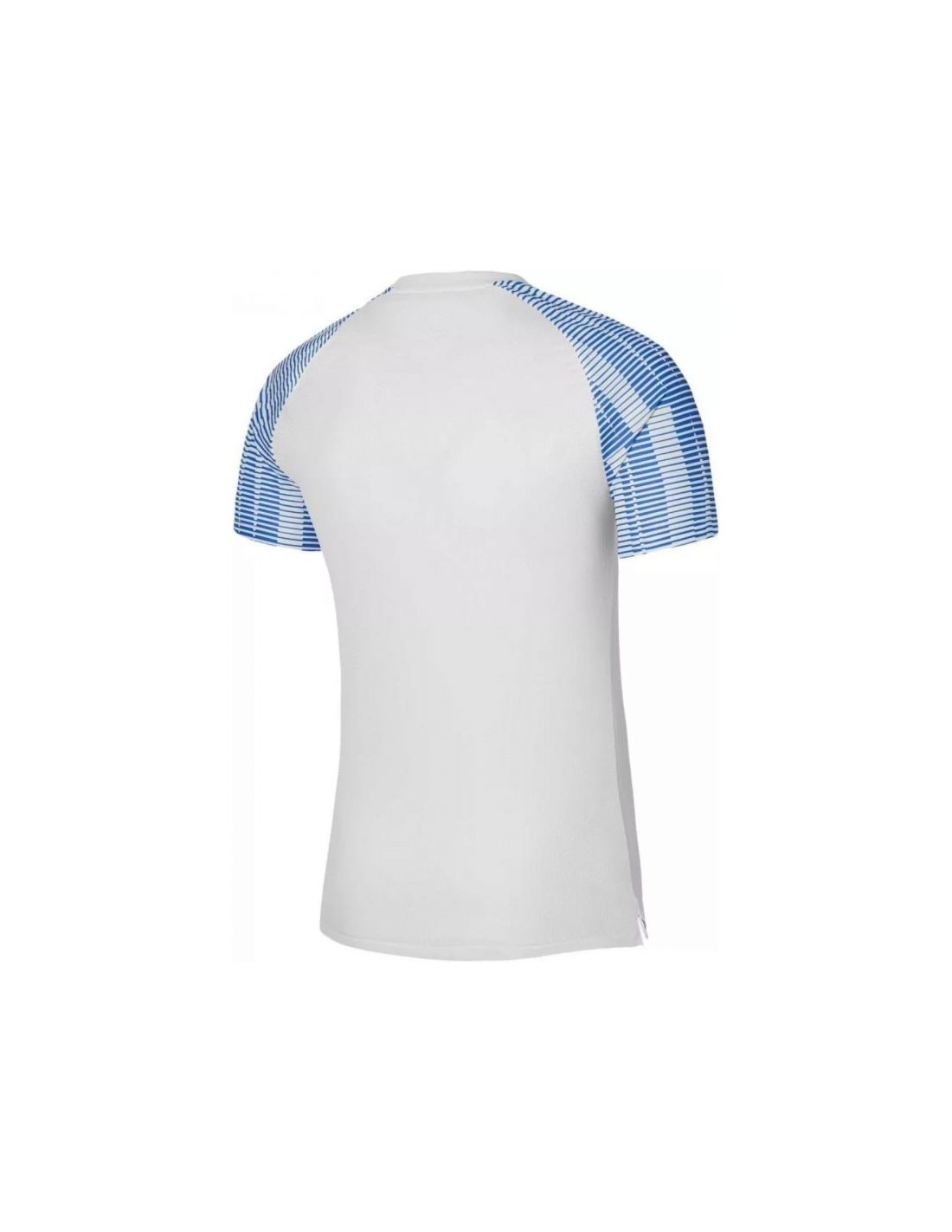 842808-thickbox_default-nike-df-academy-jsy-ss-jr-t-shirt-dh8369-102
