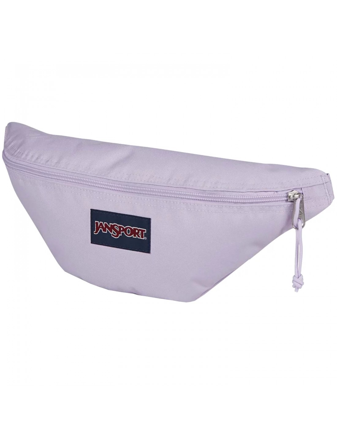 843437-thickbox_default-jansport-swing-waistpack-ek0a5bjxw30