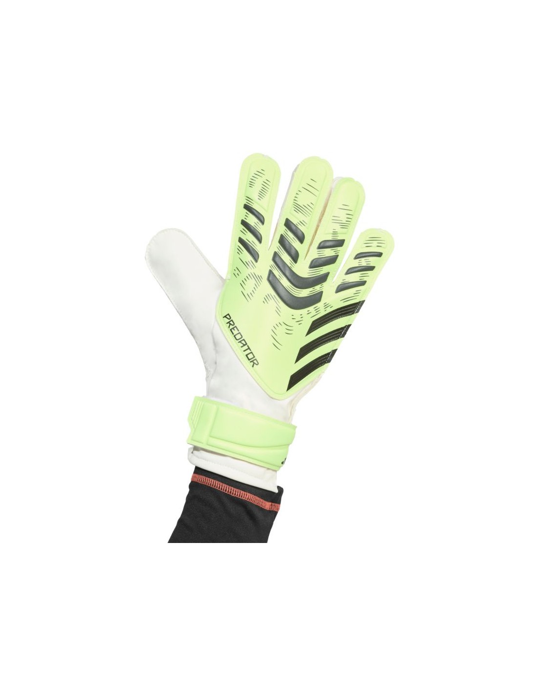 848024-thickbox_default-adidas-predator-training-m-jn5356-goalkeeper-gloves