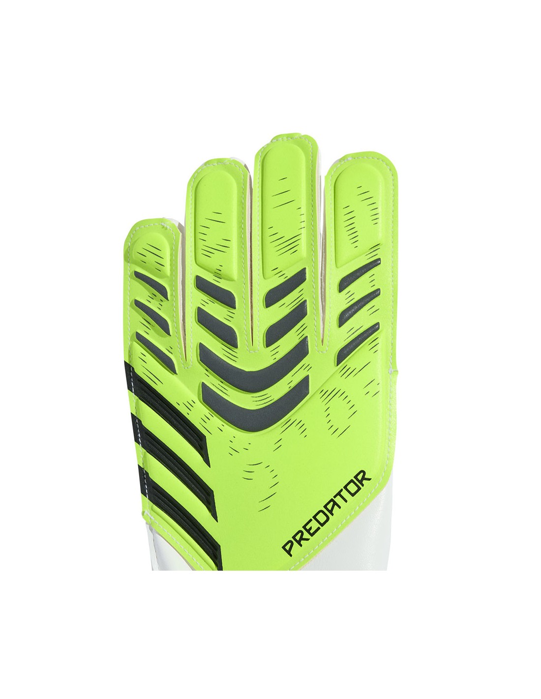 848036-thickbox_default-adidas-predator-training-goalkeeper-gloves-lime-jr-jn5362