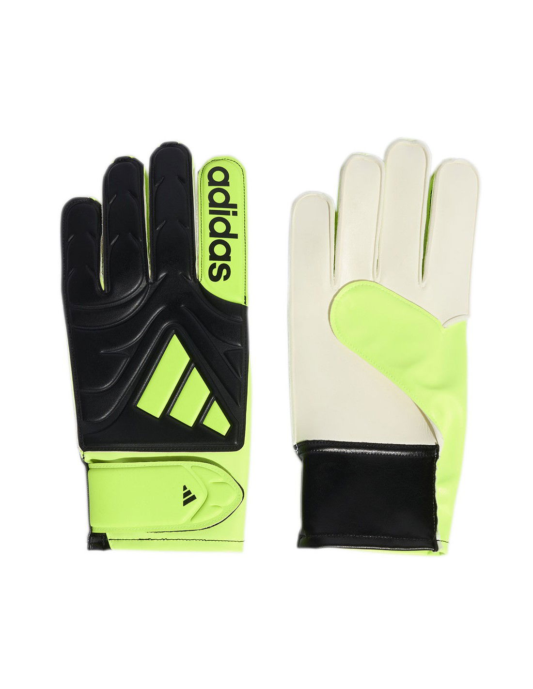 848056-thickbox_default-0d75fe5f-a373-f011-9742-00155d01f100