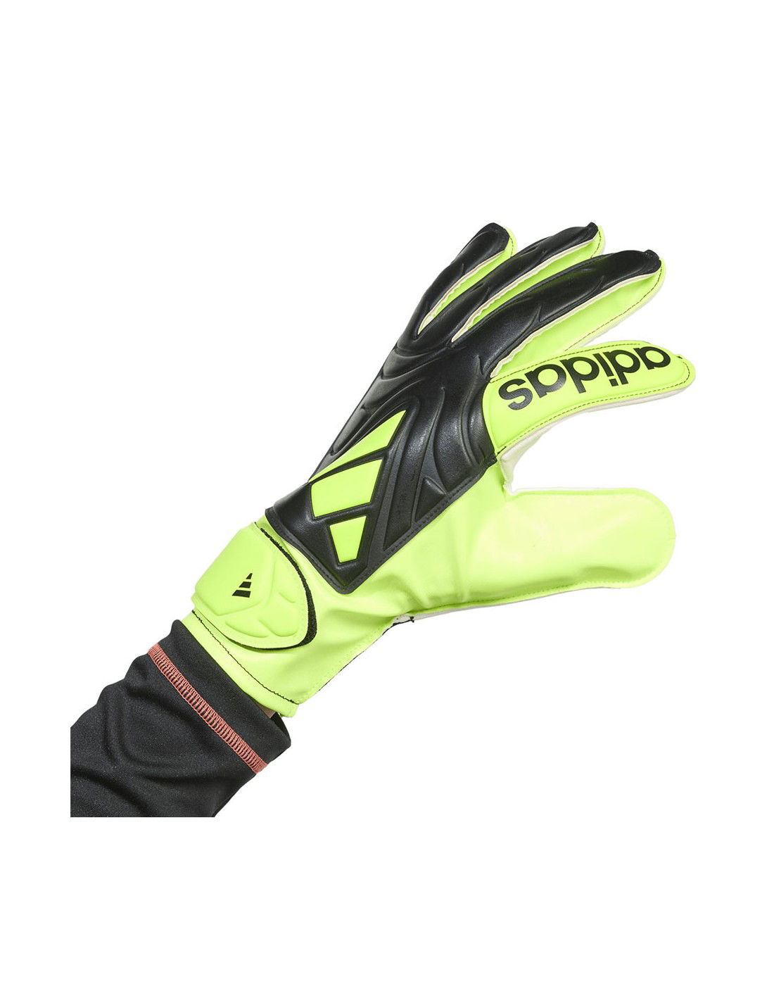 848057-thickbox_default-0d75fe5f-a373-f011-9742-00155d01f100