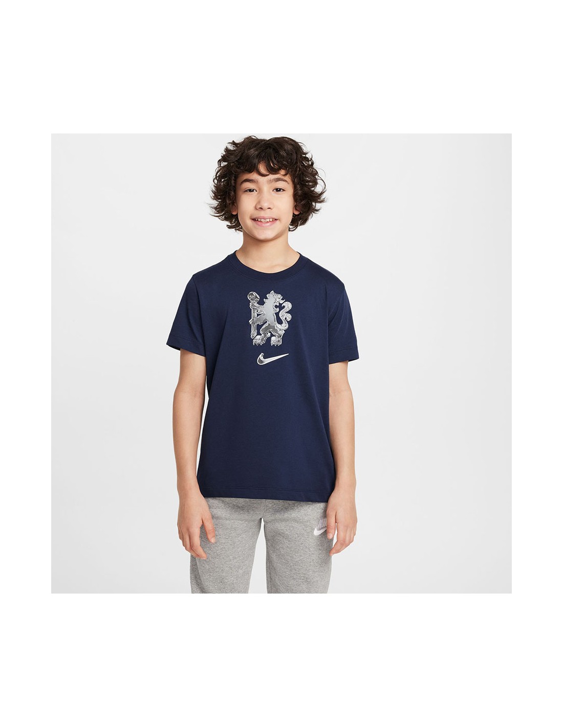 848156-thickbox_default-nike-chelsea-fc-t-shirt-hf0914-451