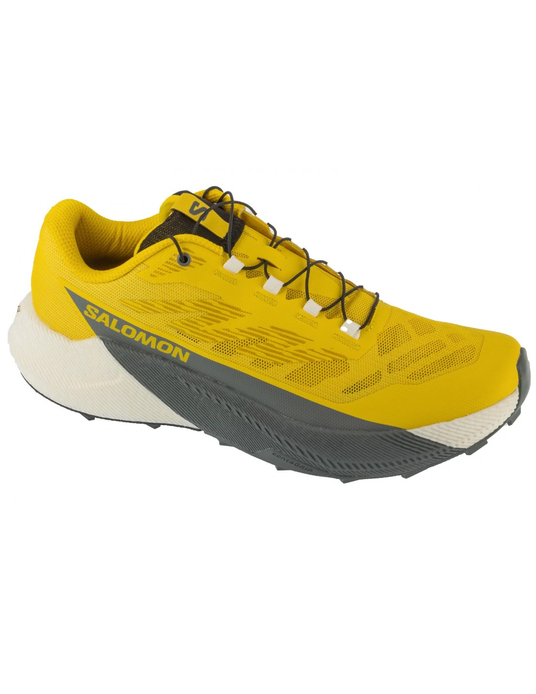 852619-thickbox_default-salomon-pulsar-l47973200