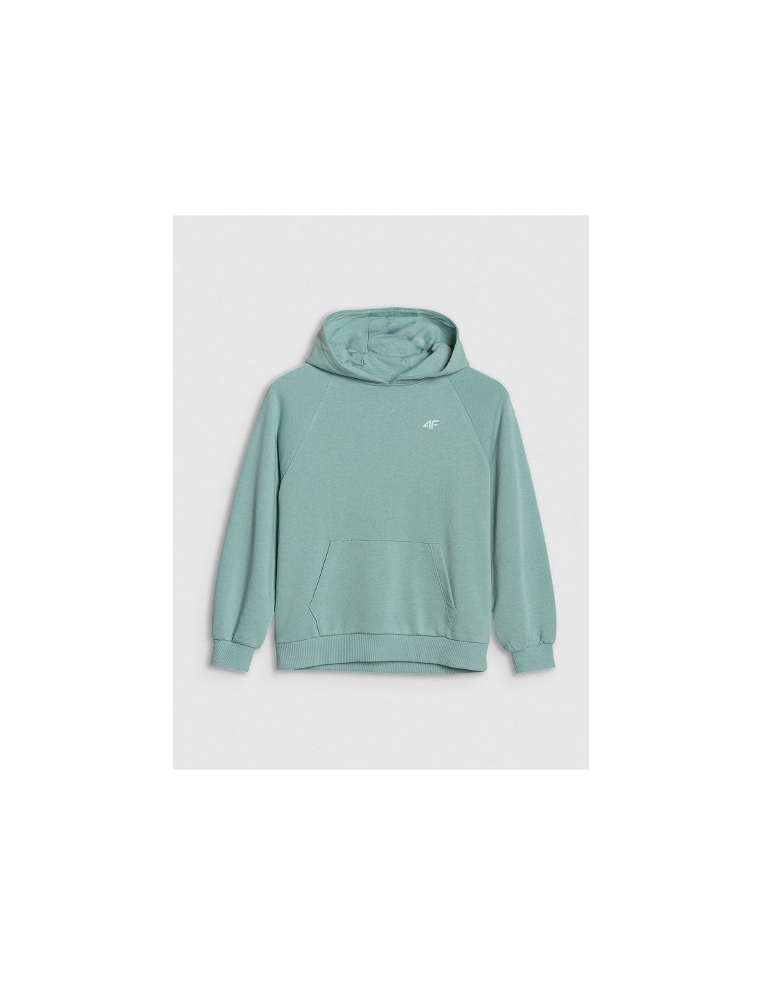 854833-thickbox_default-4f-f1478-jr-sweatshirt-4fjwss25tswsf1478-47s