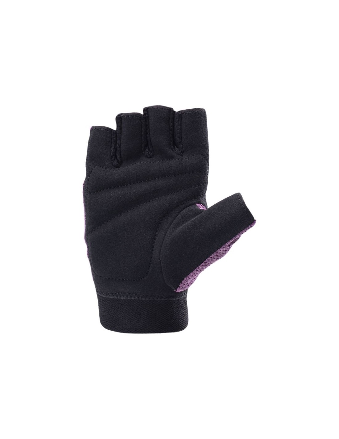 858808-thickbox_default-dace839f-dc13-f011-b6a9-a8a15986bd35