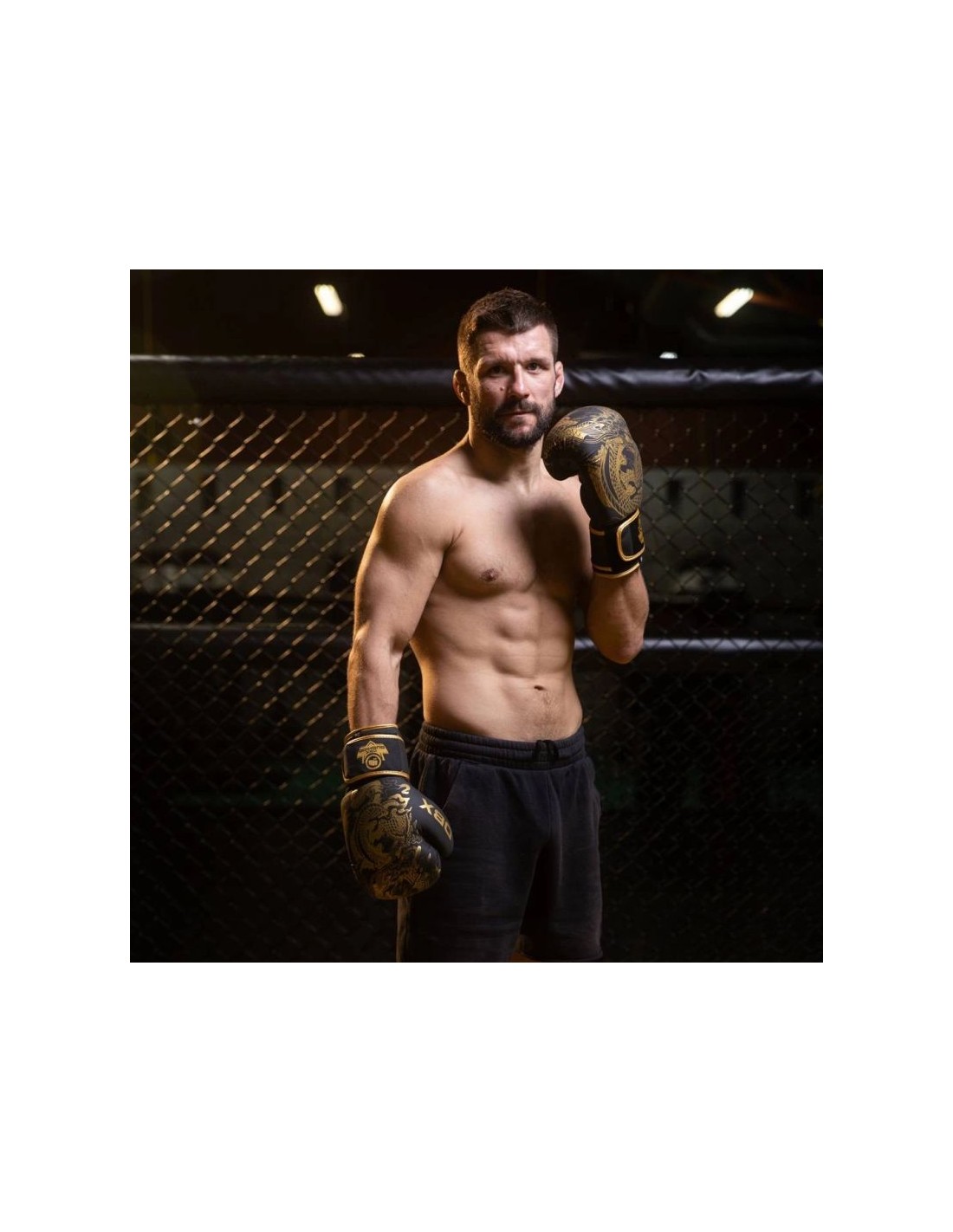 886951-thickbox_default-5c17d00d-60f5-f011-974b-00155d01f100