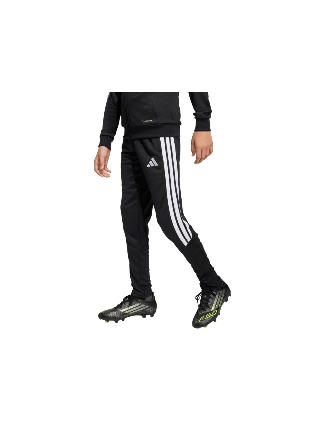 897915-thickbox_default-4df21b02-8af8-f011-974b-00155d01f100