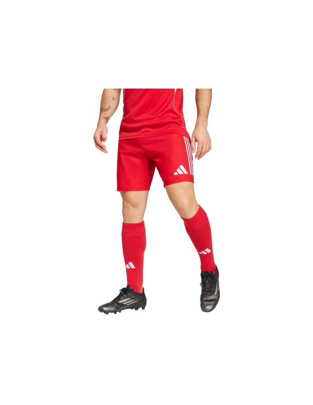 897981-thickbox_default-7a8a8337-0edd-f011-9749-00155d01f100