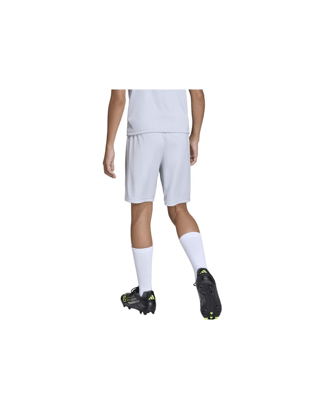 900131-thickbox_default-5d01e4d4-88f8-f011-974b-00155d01f100