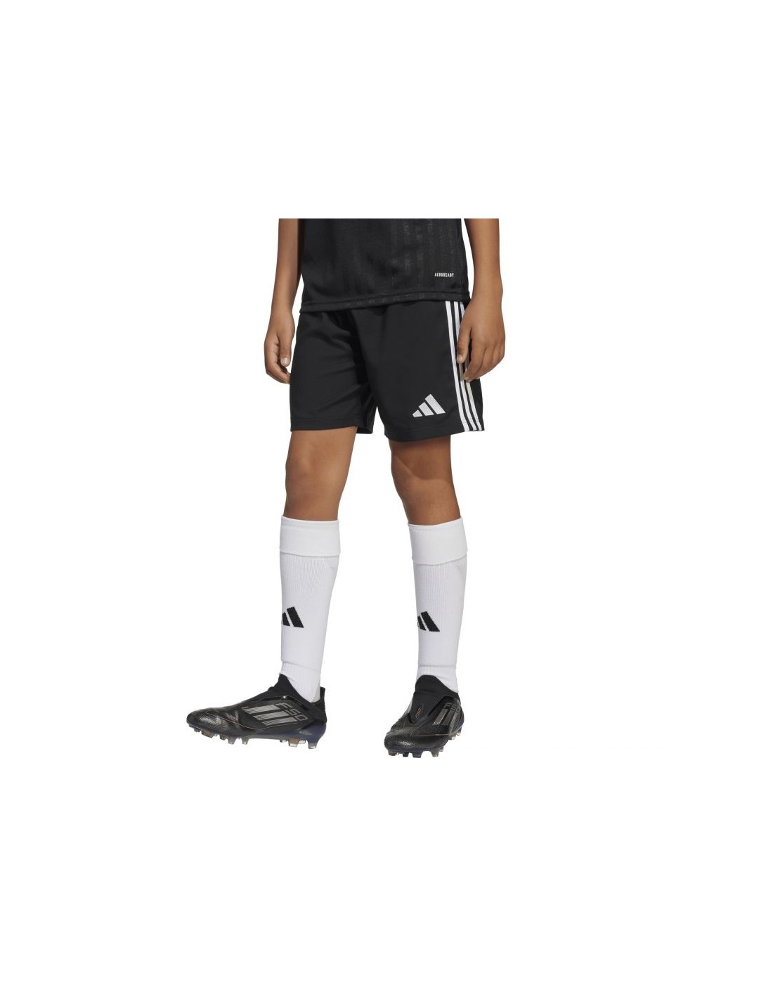 900497-thickbox_default-73db17bf-0ddd-f011-9749-00155d01f100