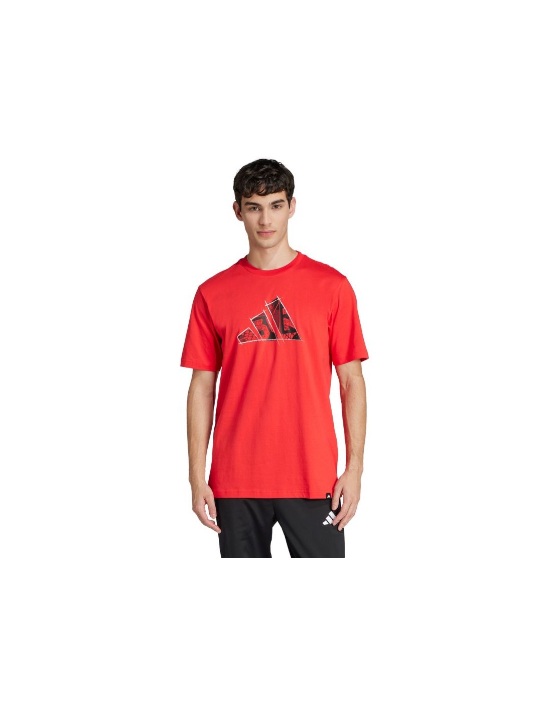 900543-thickbox_default-57b316cb-0ddd-f011-9749-00155d01f100