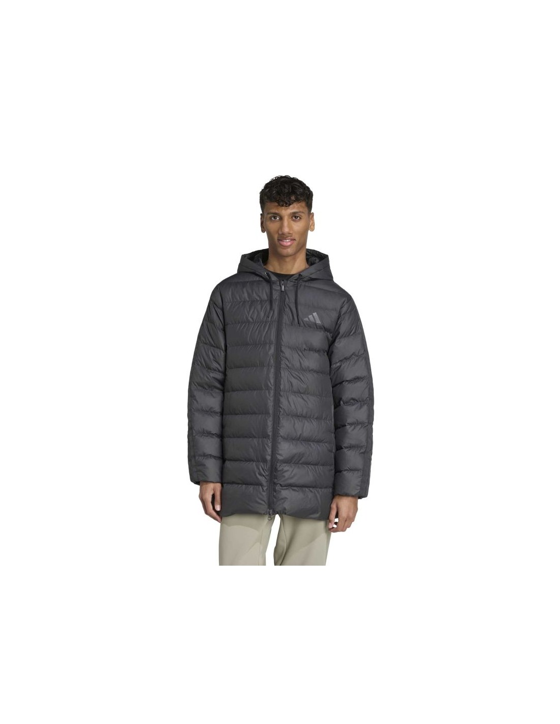 900799-thickbox_default-4ec37994-0ddd-f011-9749-00155d01f100
