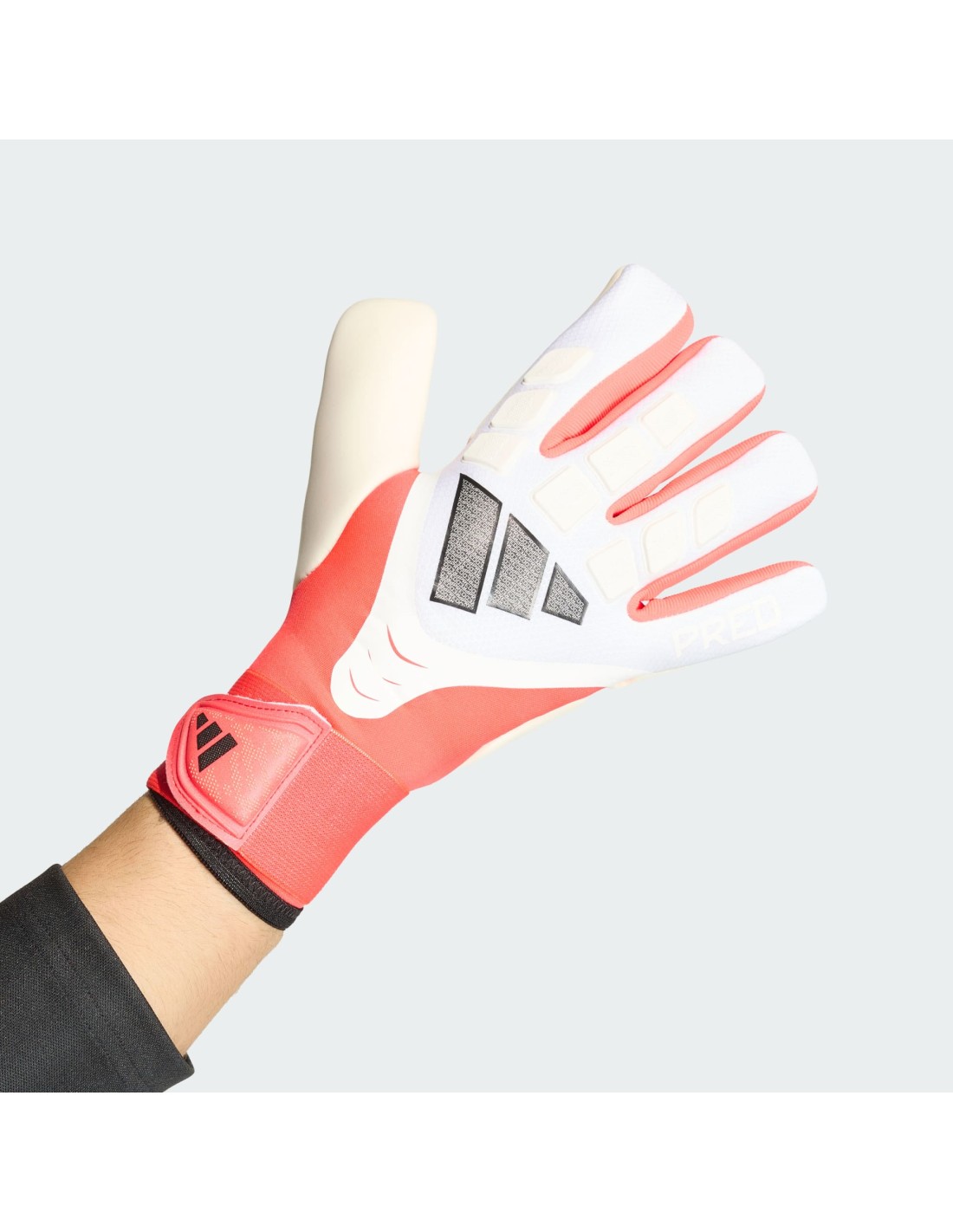 939876-thickbox_default-8be7a3ca-b211-f111-b6d2-a8a15986bd35