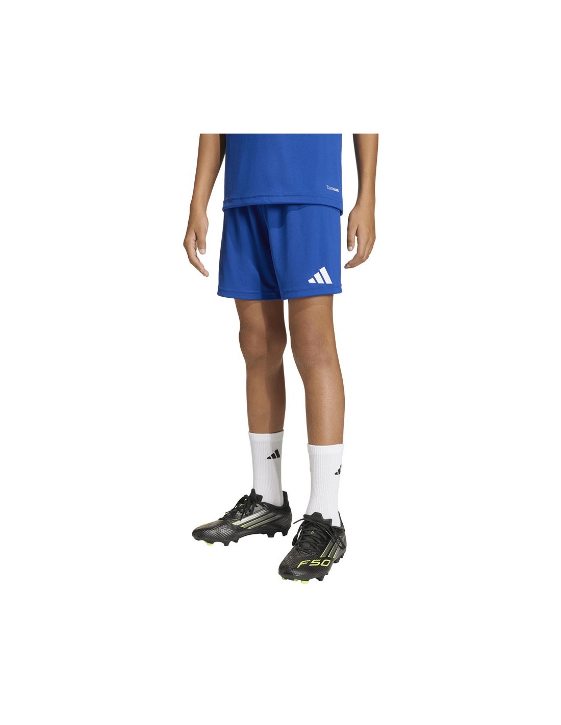 941467-thickbox_default-a973e6bd-4916-f111-b6d4-a8a15986bd35