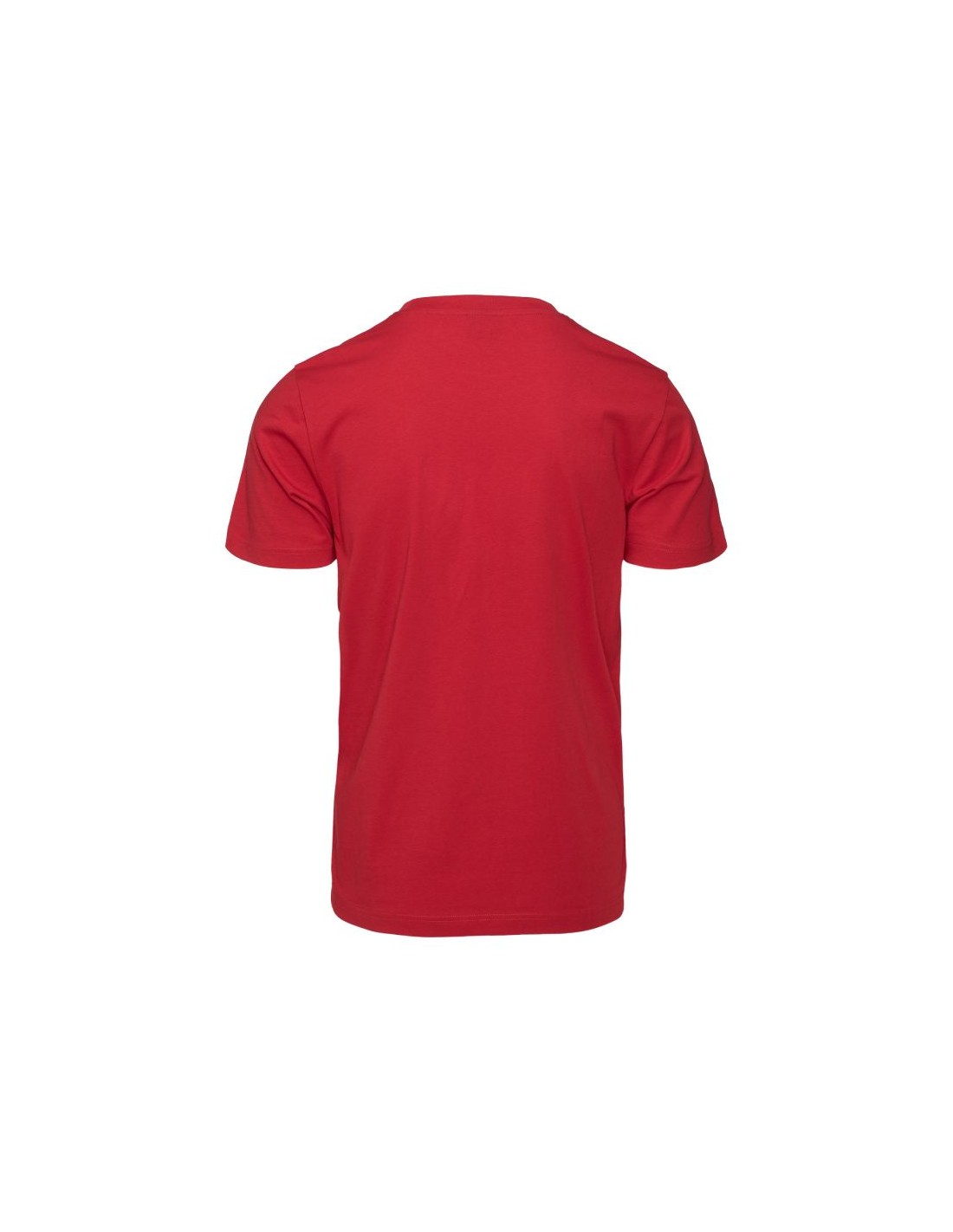 942306-thickbox_default-7bf8b1c1-0edd-f011-9749-00155d01f100