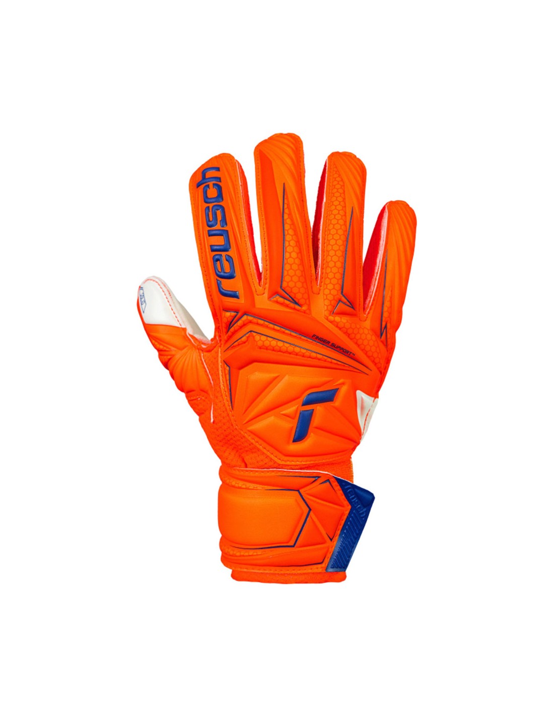 955883-thickbox_default-dbd73ec2-fb2c-f111-b6d6-a8a15986bd35