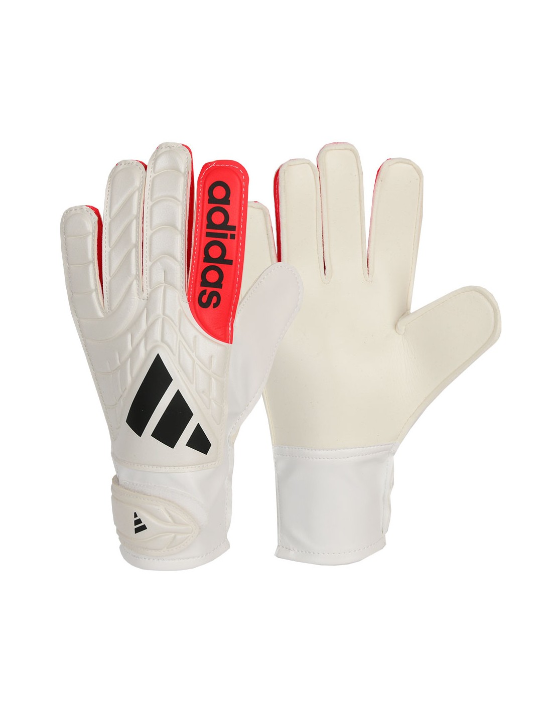 959439-thickbox_default-e82112d6-212d-f111-974d-00155d01f100