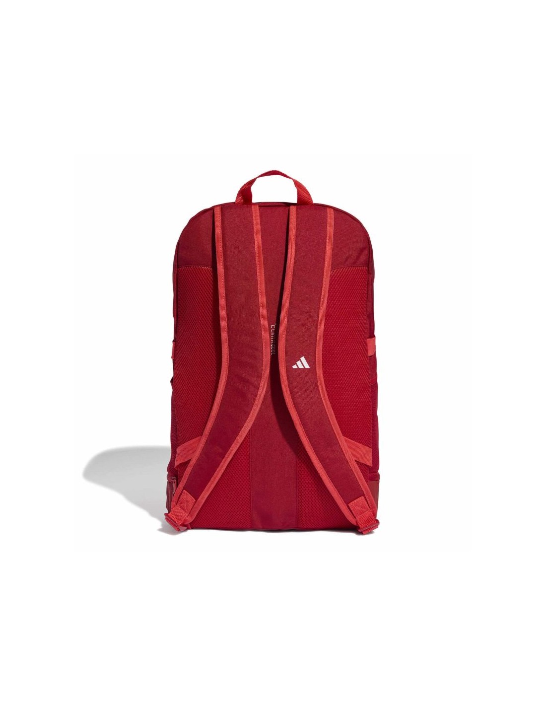 961097-thickbox_default-1bc44232-242d-f111-974d-00155d01f100