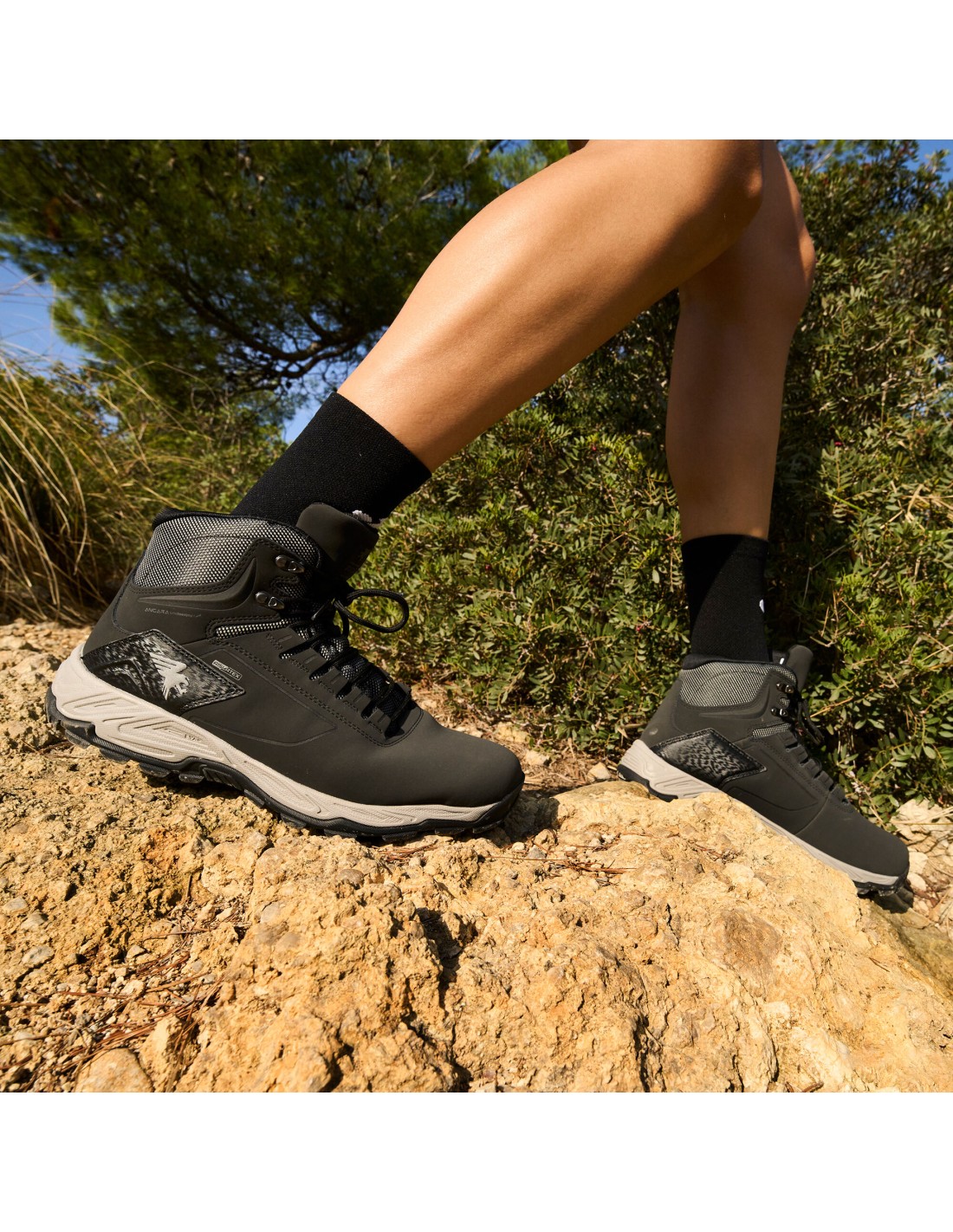 964953-thickbox_default-60ad37d1-d4e7-ef11-b6a7-a8a15986bd35