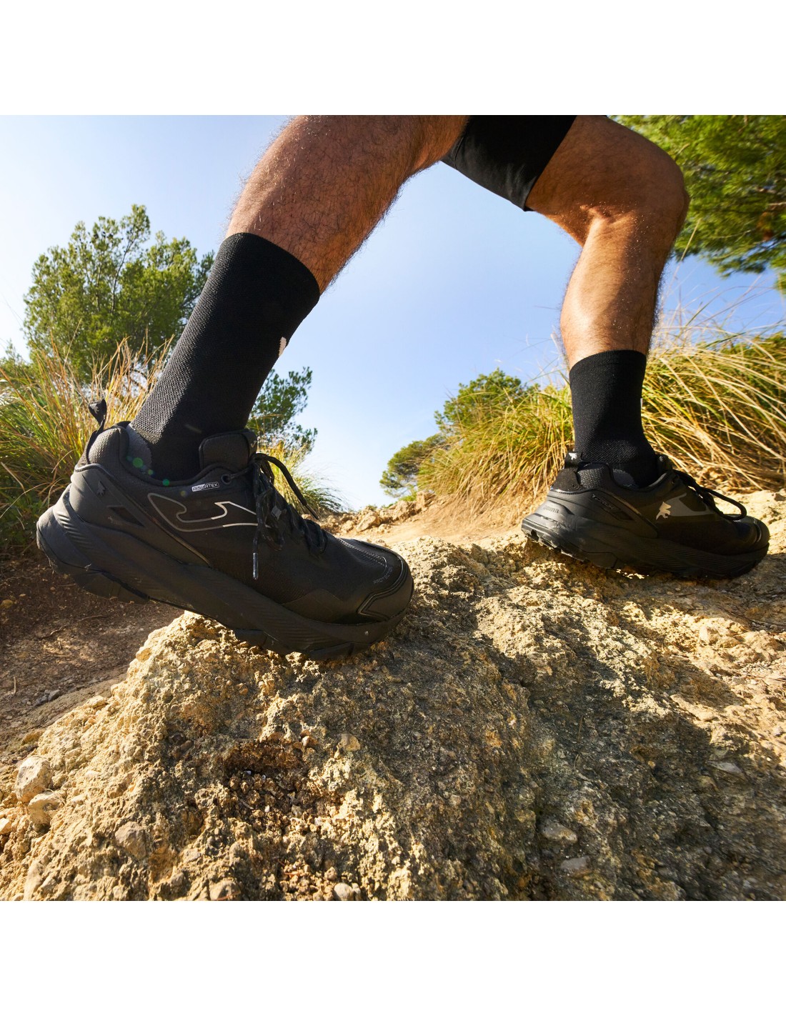 965109-thickbox_default-6acc98ea-d4e7-ef11-b6a7-a8a15986bd35