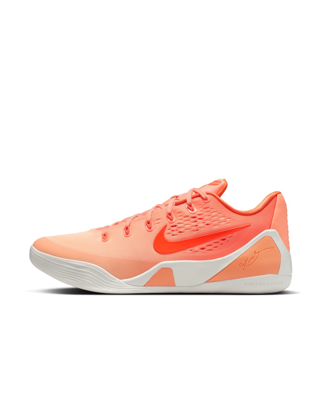 995656-thickbox_default-179e55c4-fa61-f111-b6de-a8a15986bd35