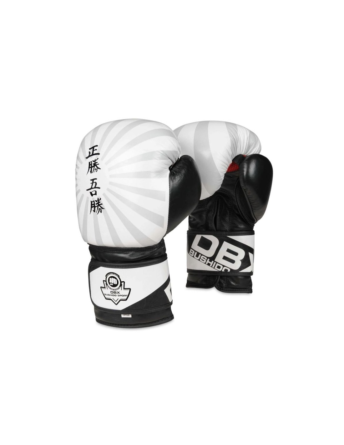 cdn.mybrand.shoes-10oz-boxing-gloves-japan-valor-series