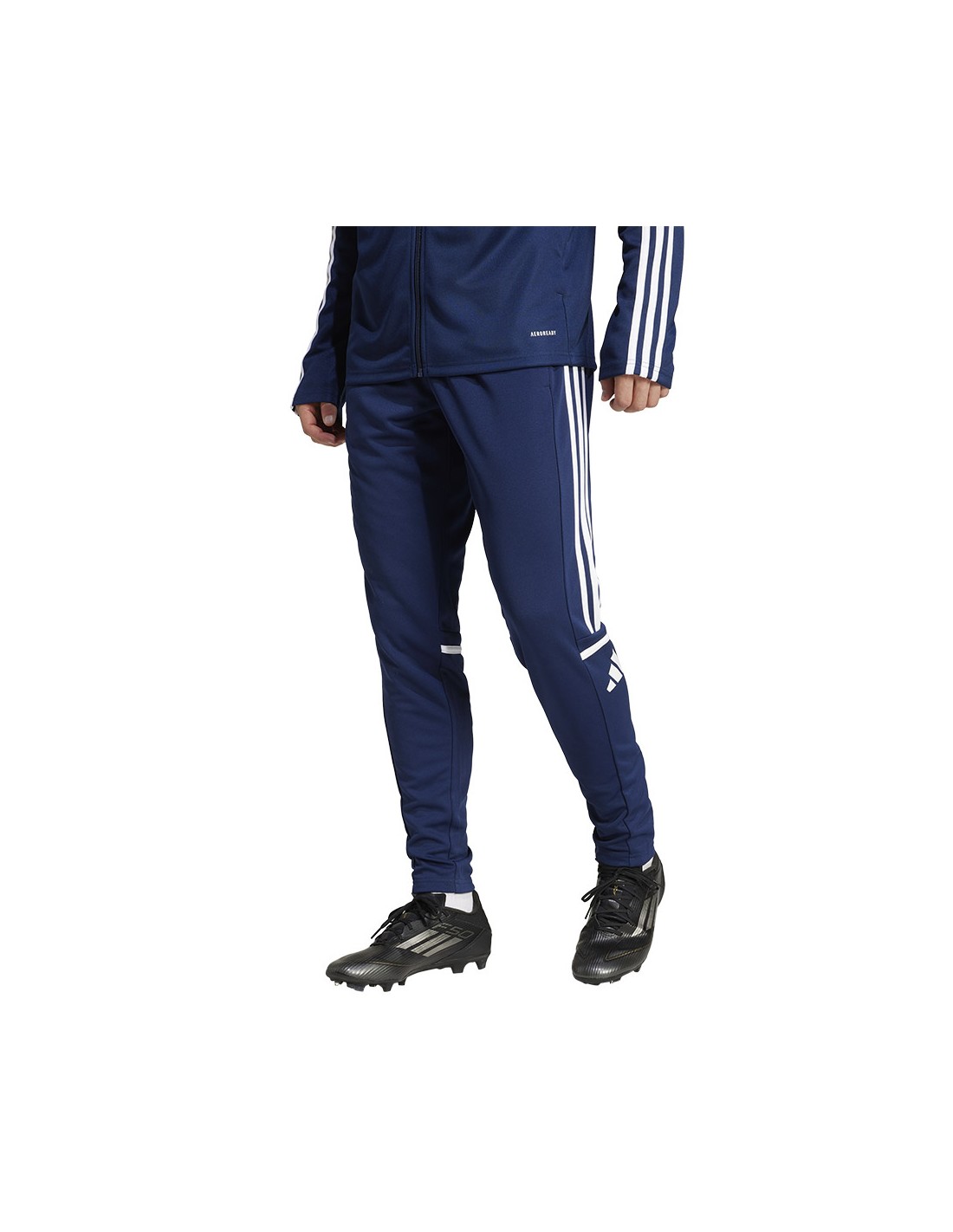 cdn.mybrand.shoes-adidas-squadra-25-training-pants-jd2988