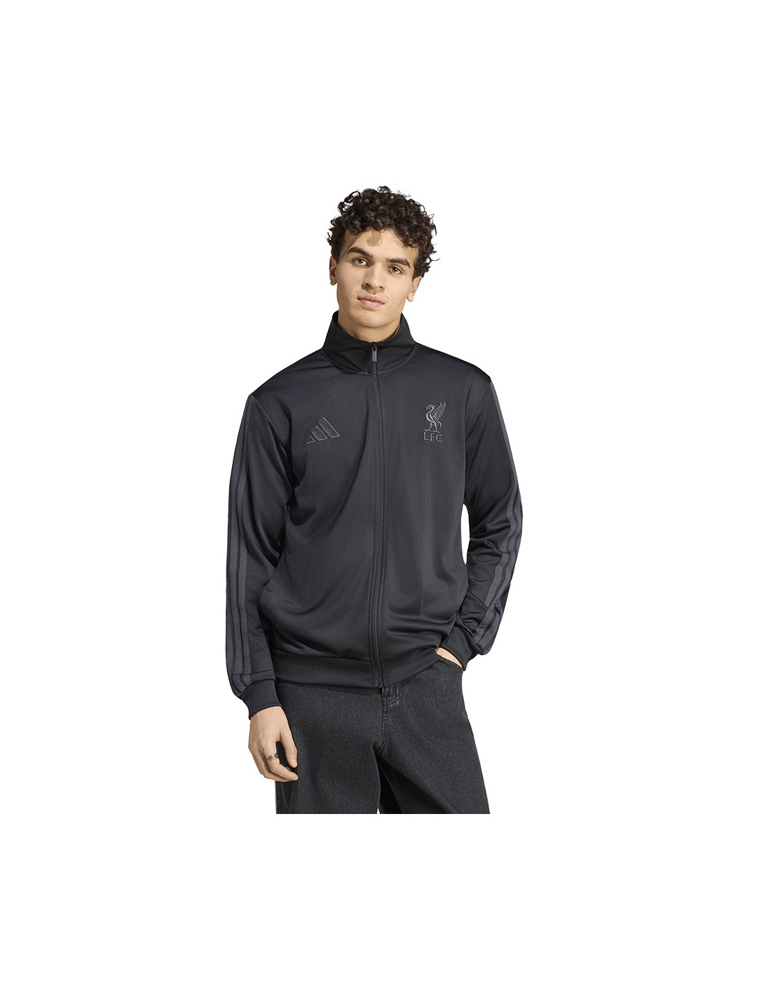 cdn.mybrand.shoes-adidas-sweatshirt-sweatshirt-adidas-liverpool-fc-dna-track-top