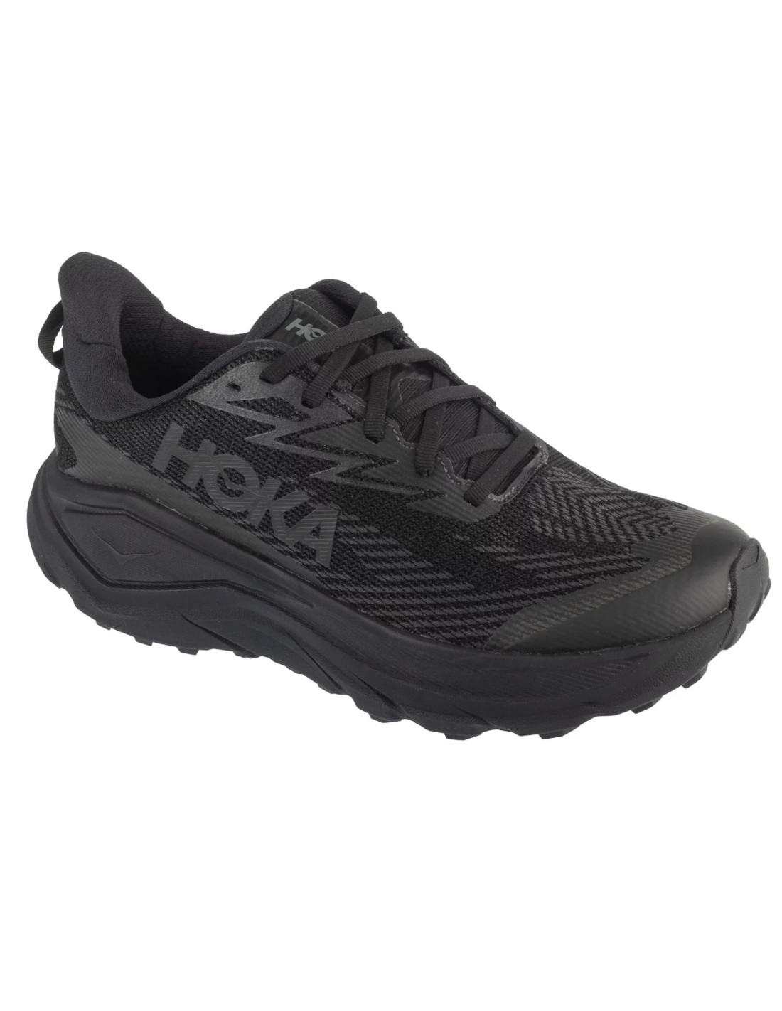 cdn.mybrand.shoes-hoka-challenger-8-gtx-1171958-bbnb