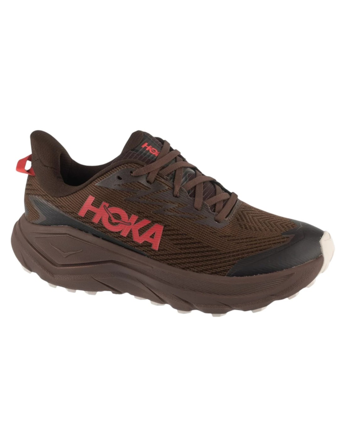 cdn.mybrand.shoes-hoka-challenger-8-gtx-1171958-spcd