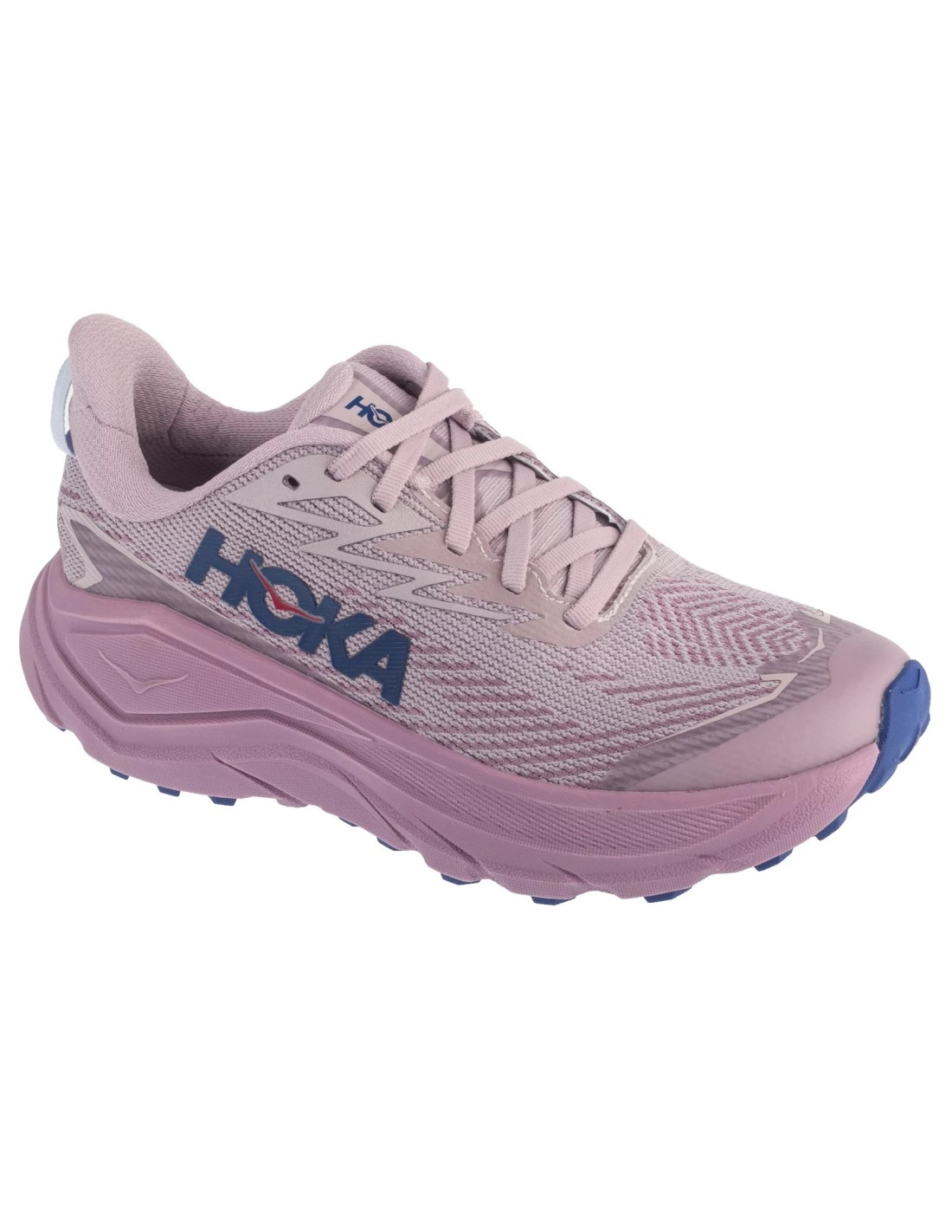 cdn.mybrand.shoes-hoka-w-challenger-8-gtx-1171959-fmv