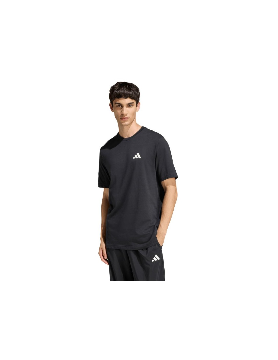 cdn.mybrand.shoes-mens-adidas-outdoor-mountain-biking-graphic-t-shirt-black-kb2536
