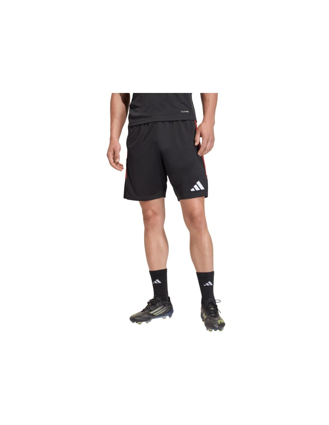 cdn.mybrand.shoes-mens-adidas-tiro-26-league-training-shorts-black-and-red-jy9716