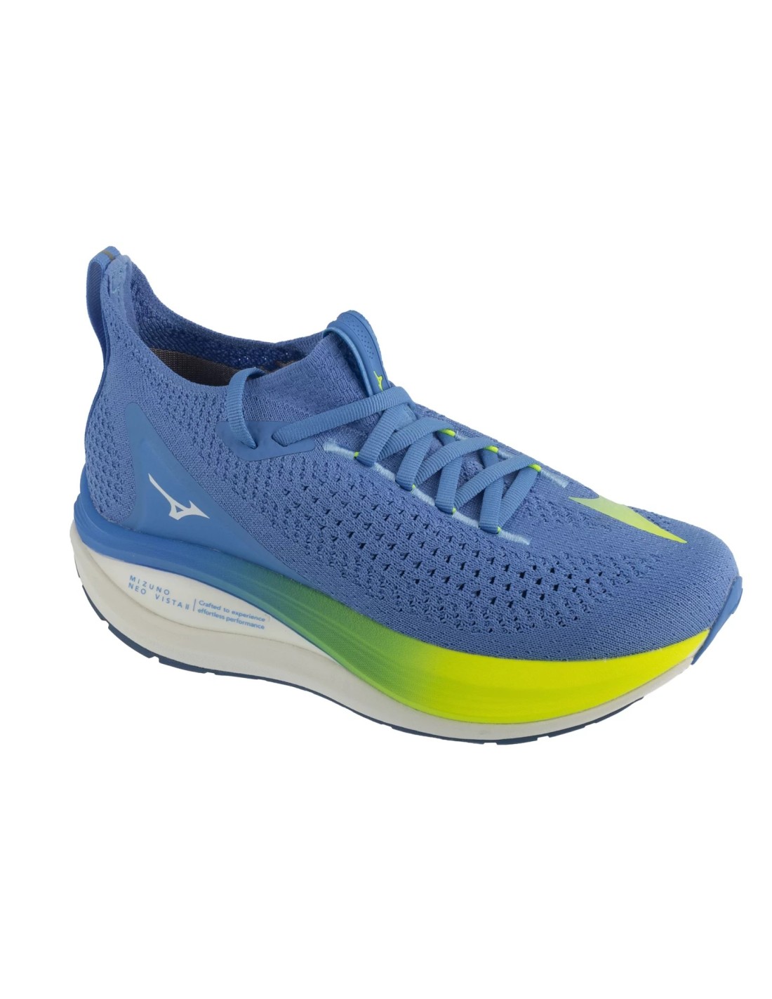 cdn.mybrand.shoes-mizuno-neo-vista-2-j1gd253471