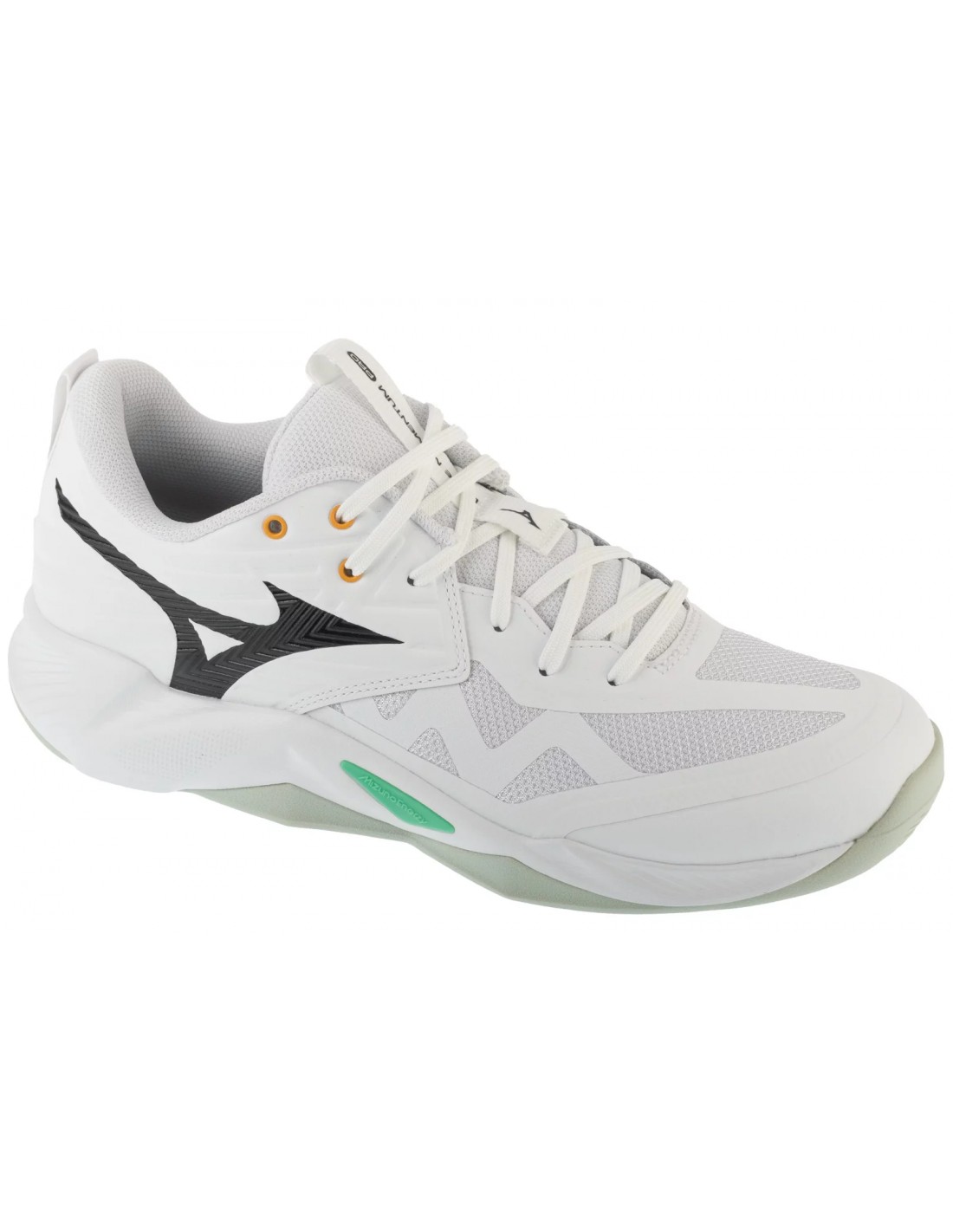 cdn.mybrand.shoes-mizuno-wave-momentum-pro-v1ga254021