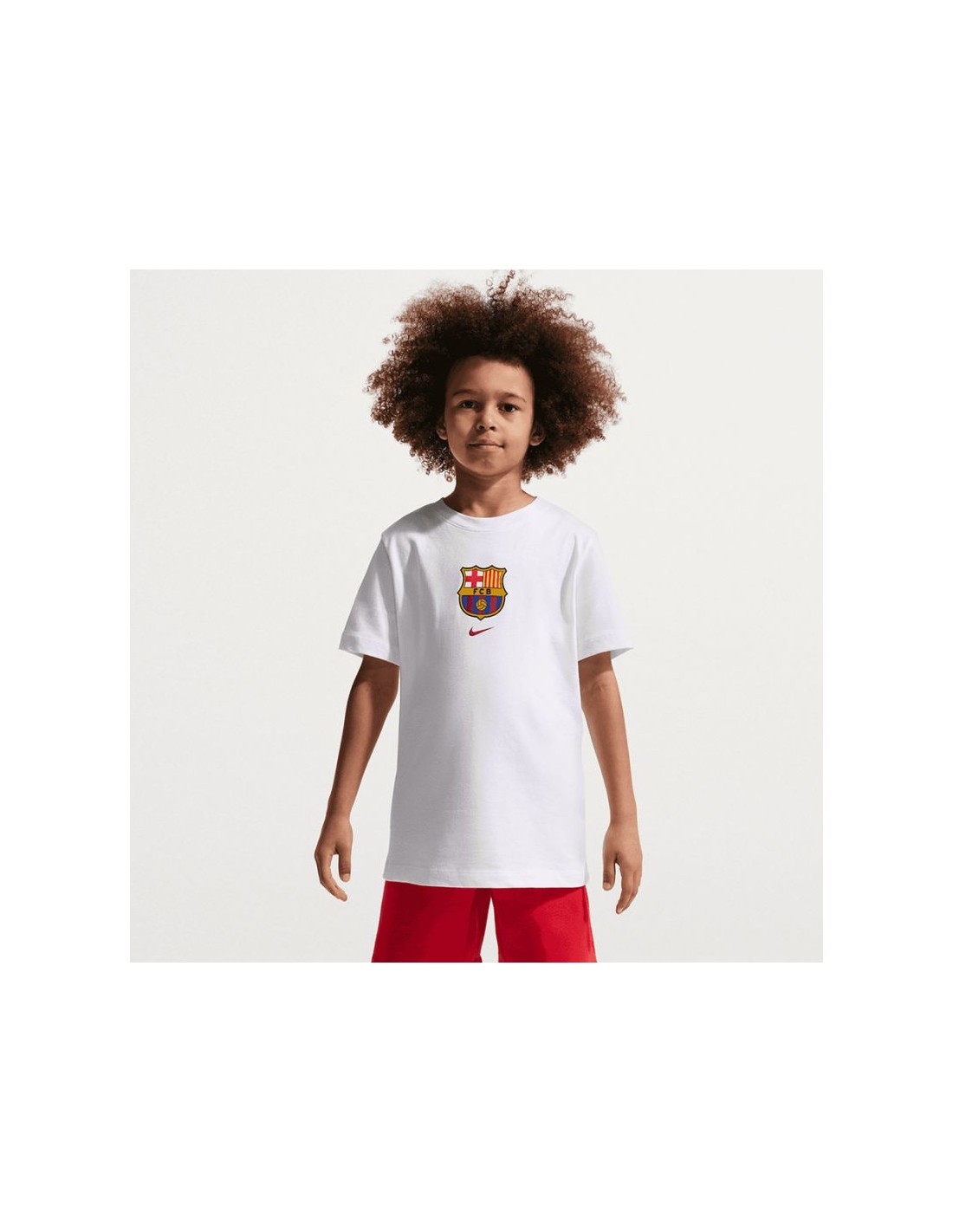 cdn.mybrand.shoes-nike-fc-barcelona-t-shirt-im1708-100