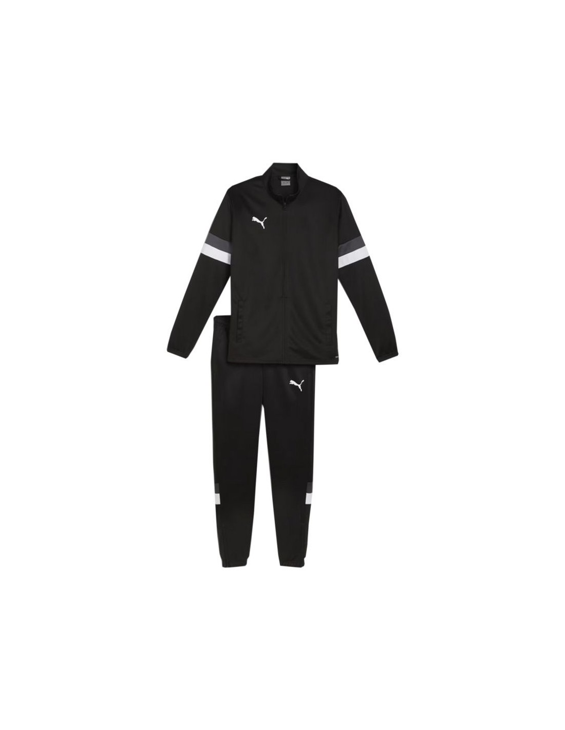 cdn.mybrand.shoes-puma-team-rise-m-tracksuit-658653-03