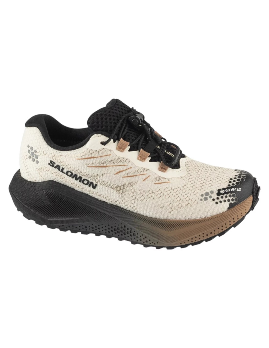cdn.mybrand.shoes-salomon-aero-blaze-4-grvl-gtx-w-l45403900