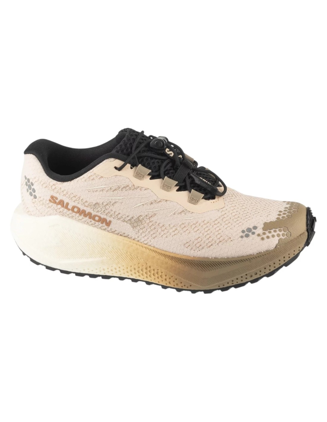 cdn.mybrand.shoes-salomon-aero-blaze-4-grvl-w-l45401900